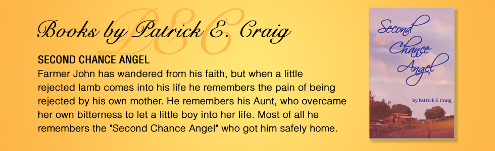 Second Chance Angel