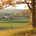 OhioFall