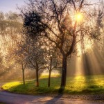 nature-spring-morning