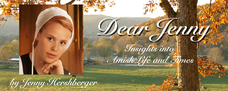 Dear Jenny Where Did The Amish Come From Part 3